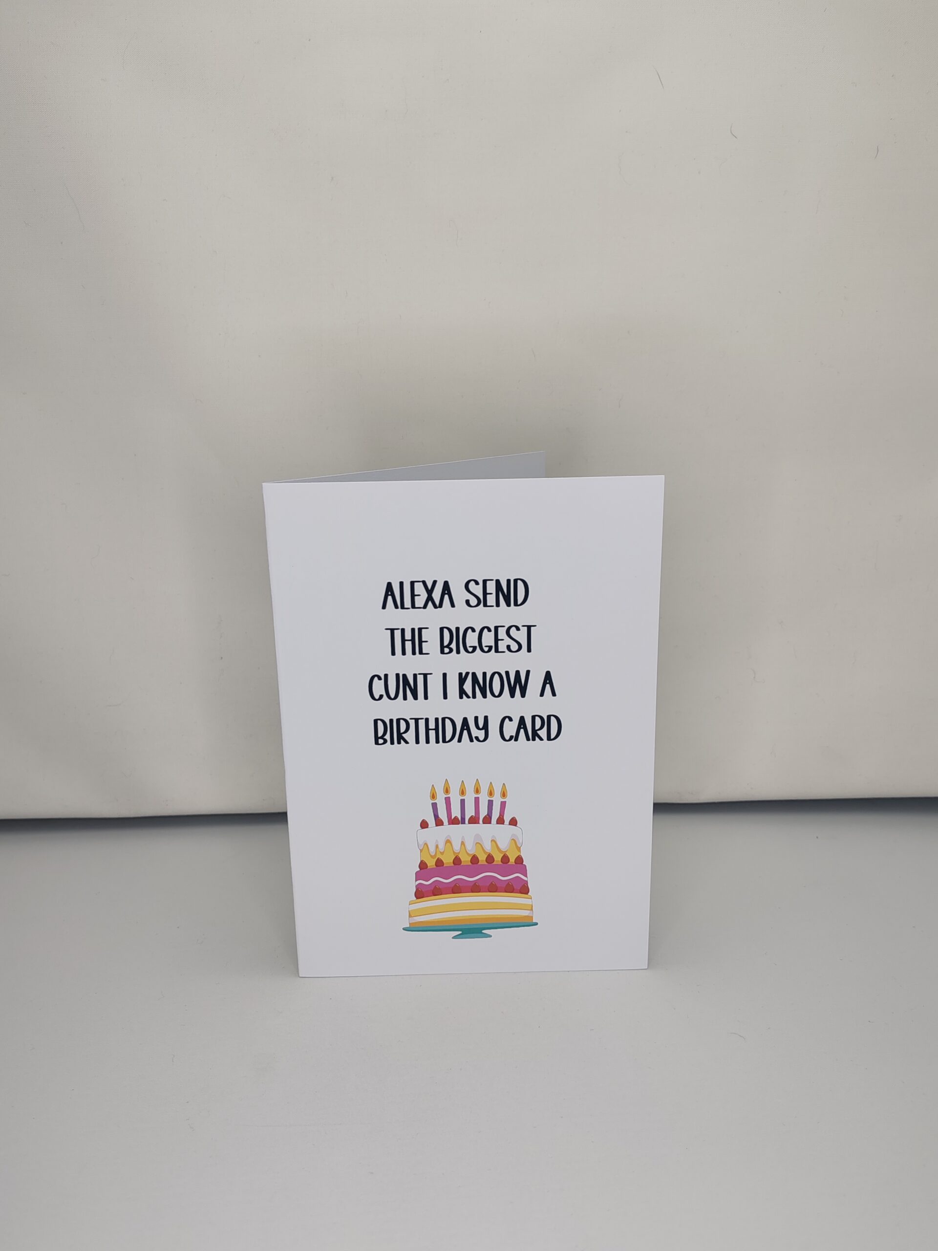 Alexa Send The Biggest Cunt I know A Birthday Card - Image 2