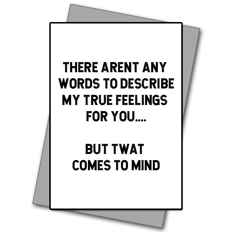 There Arent Any Words To Describe My Feelings