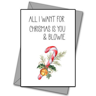 Blowie For Christmas?